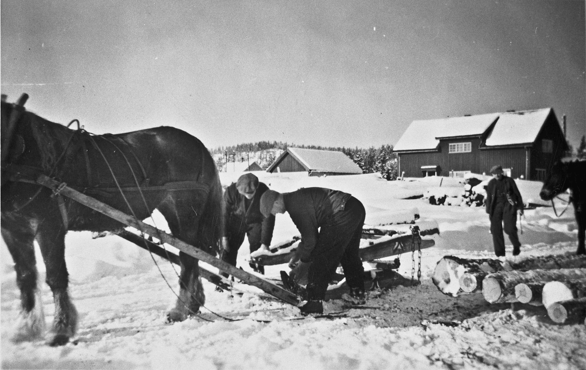 Tømmerkjøring med hest. Bernt Maurbråten på Jønsjøsaga - bilde 1.