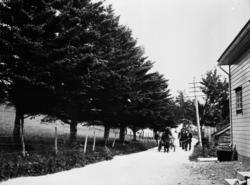 Parti frå Eidsvåg: Vi ser frå Fjordgløtt og østover (innover