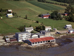 Busstasjon, Torstein Alstad