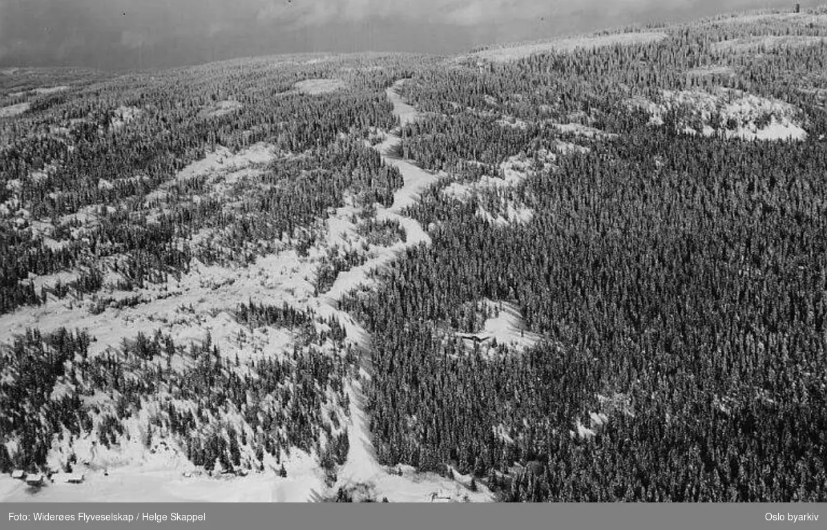 Wyllerløypa, skianlegg for alpinsport. Utfor / storslalåm-bakke. (Flyfoto)
