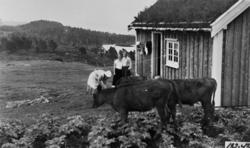 Gruppebilde frå Myra. Nerland reiste frå Myra i 1936, solgte