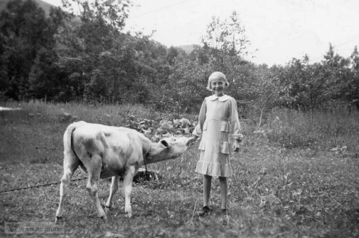 Jente og kalv..Kalven heiter Staslin. Jenta heter Borghild og mor hennes var Laura Maria Bjørnerem.
