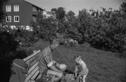 "august 1964. Seiling etc".