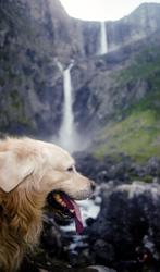 Sigmund Kvaløy Setreng og de andre Mardøla-aksjonistene sett