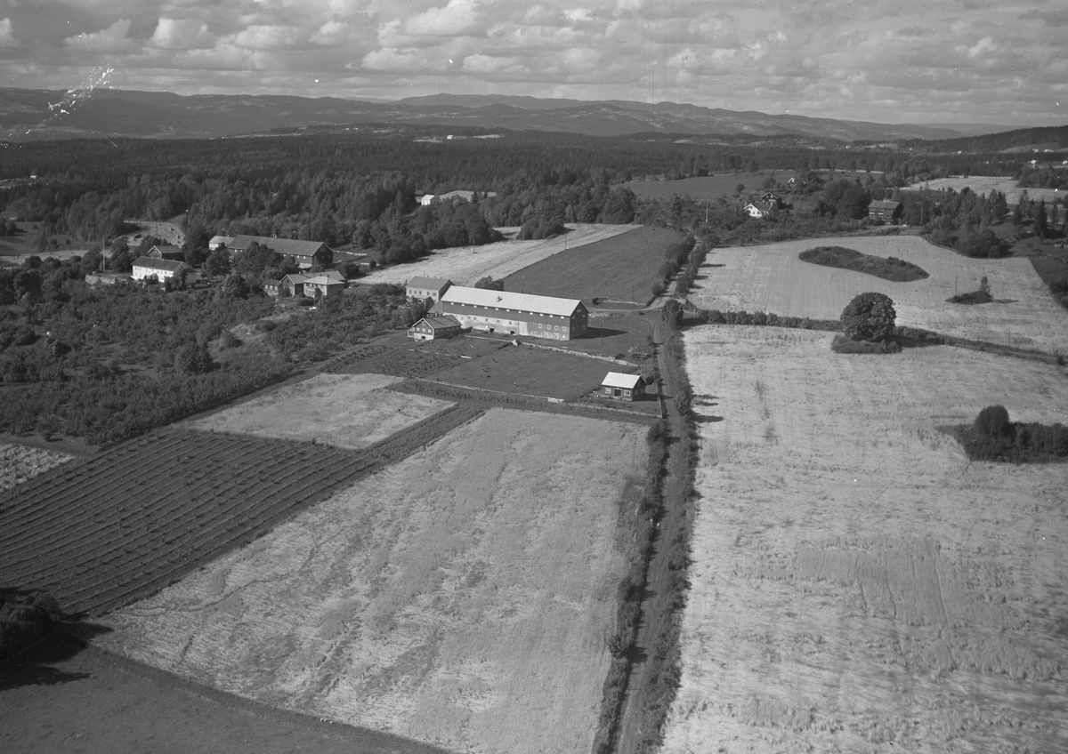 Flyfoto, gardsbruk, Aske østre, Nes, Hedmark. - Anno Domkirkeodden ...