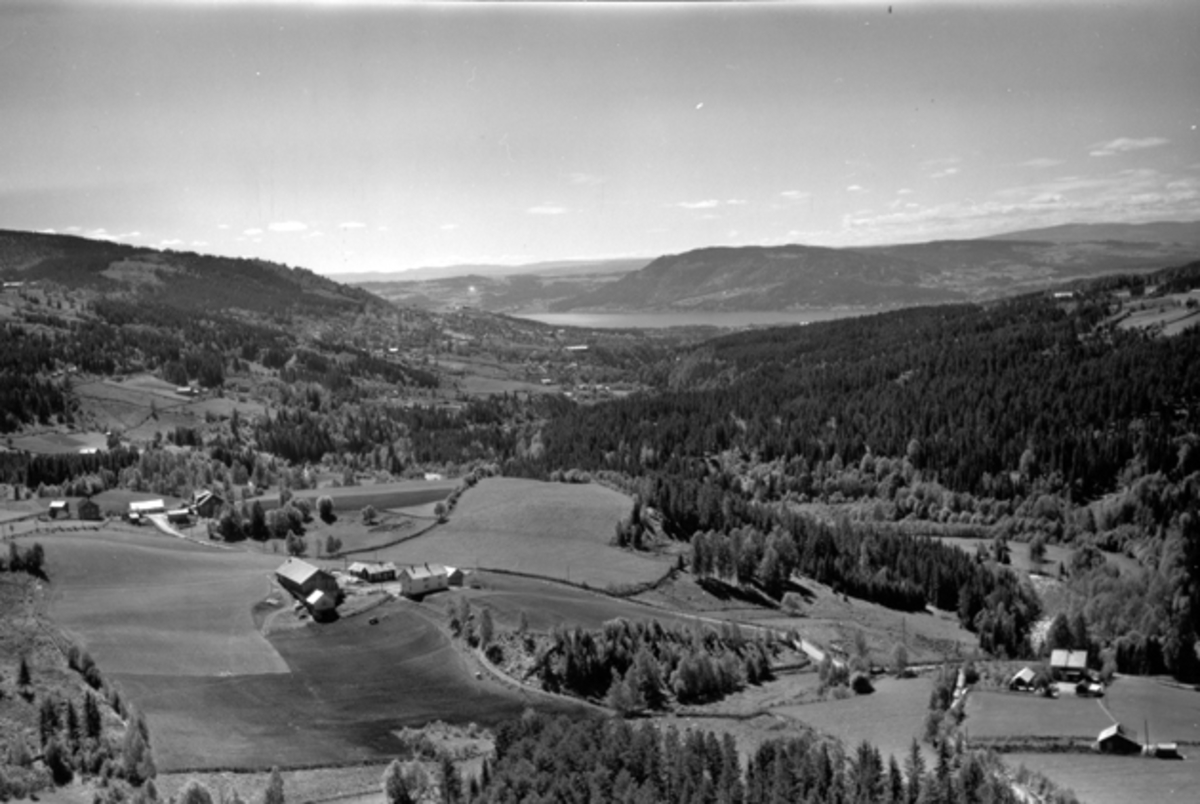 Flyfoto av gårder,  fra venstre Mauset søndre, Mauset nordre og Tajesveen. Ringsaker.