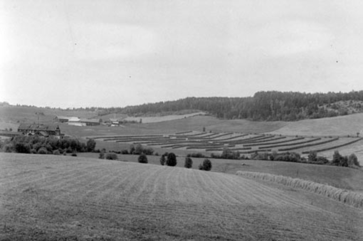 Gardsbruk. Jordbrukslandskap på Kvam, Nes, Hedmark. Kvam Brenneri til venstre. Kvamsberget.