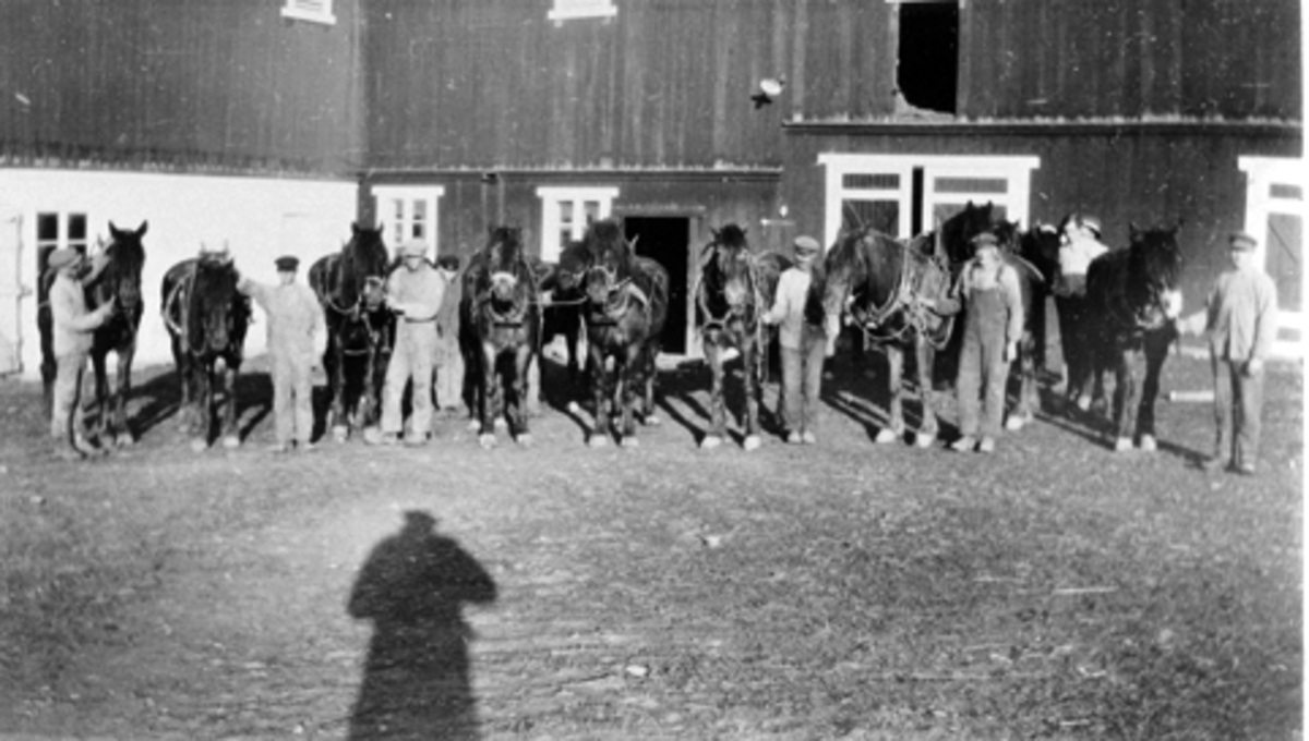 Elleve hester og åtte menn oppstillt utenfor stallen på Frøberg, Furnes.