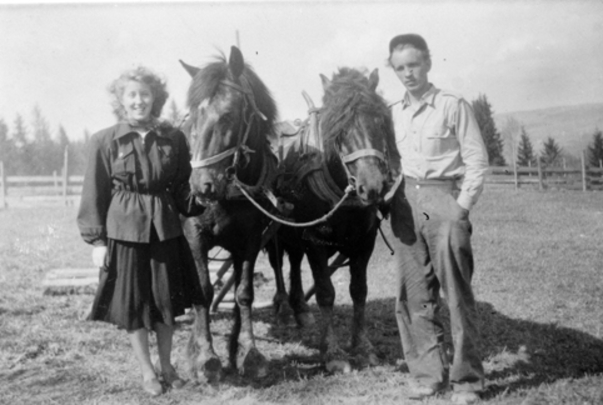 Solveig Lehne (gift Bakken) og Odmar Bakken med tospann hester og slådd. Trolig Bakken, Veldre. (Gnr. 19/6).