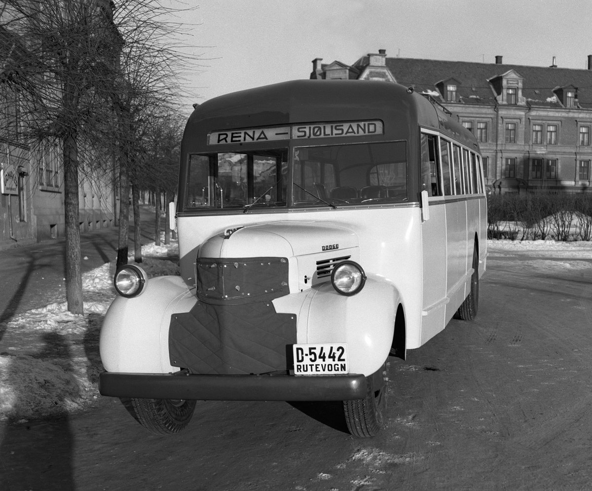 OLRUD AUTO. BUSS D-5442. RUTE RENA-SJØLISAND. Dodge personbuss, 1947-modell, 27 sitteplasser, og ble levert ny til rutebileier Arne Andersen som hadde ruter Rena-Sjølisand. I 1951 gikk Andersen med sine ruter og rutebiler inn i Rena og Omland Bilruter. Rutebil. 