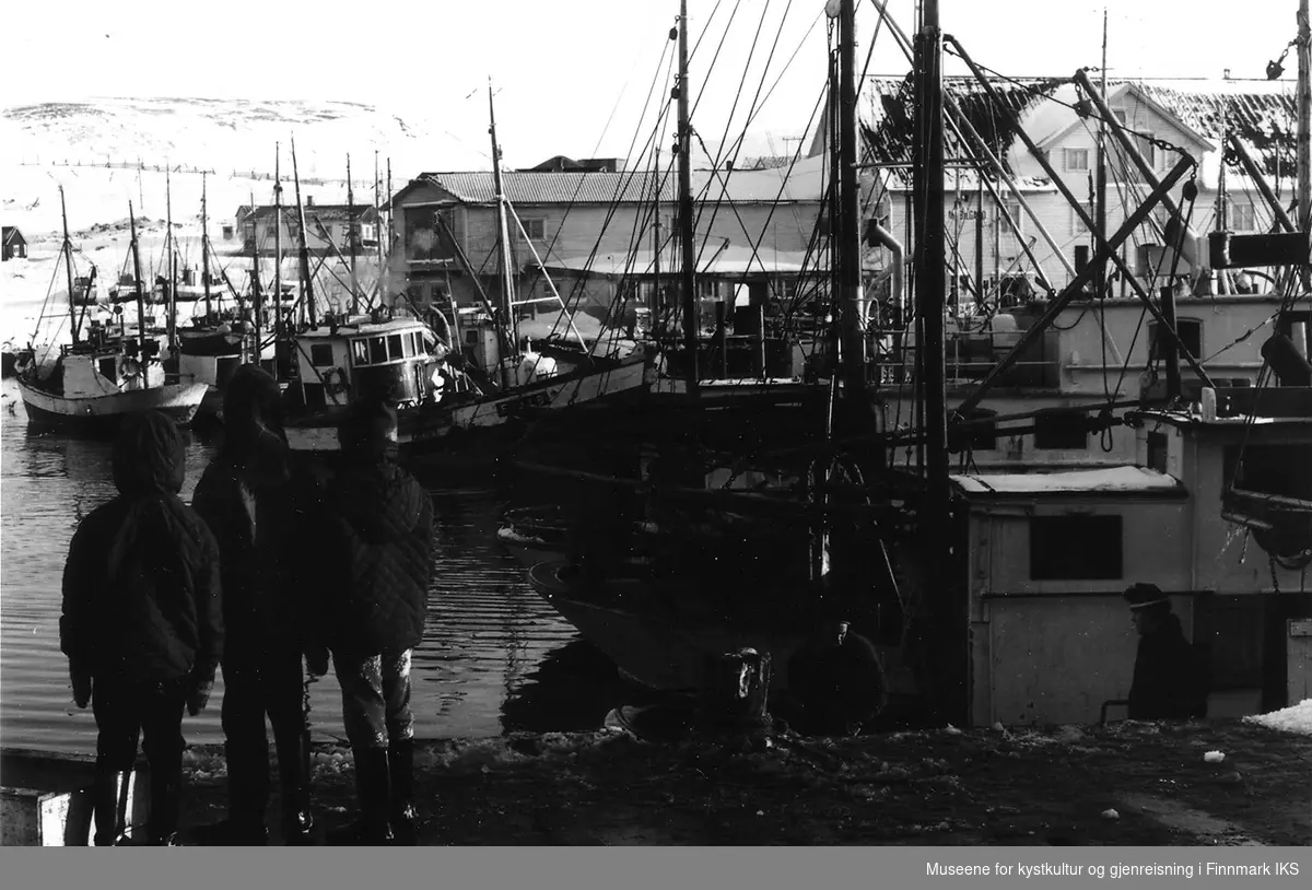 Vårfisket. Mange båter på havna i Berlevåg. Tre barn, iført boblejakker, står på Ulve-kaia, ca 1965