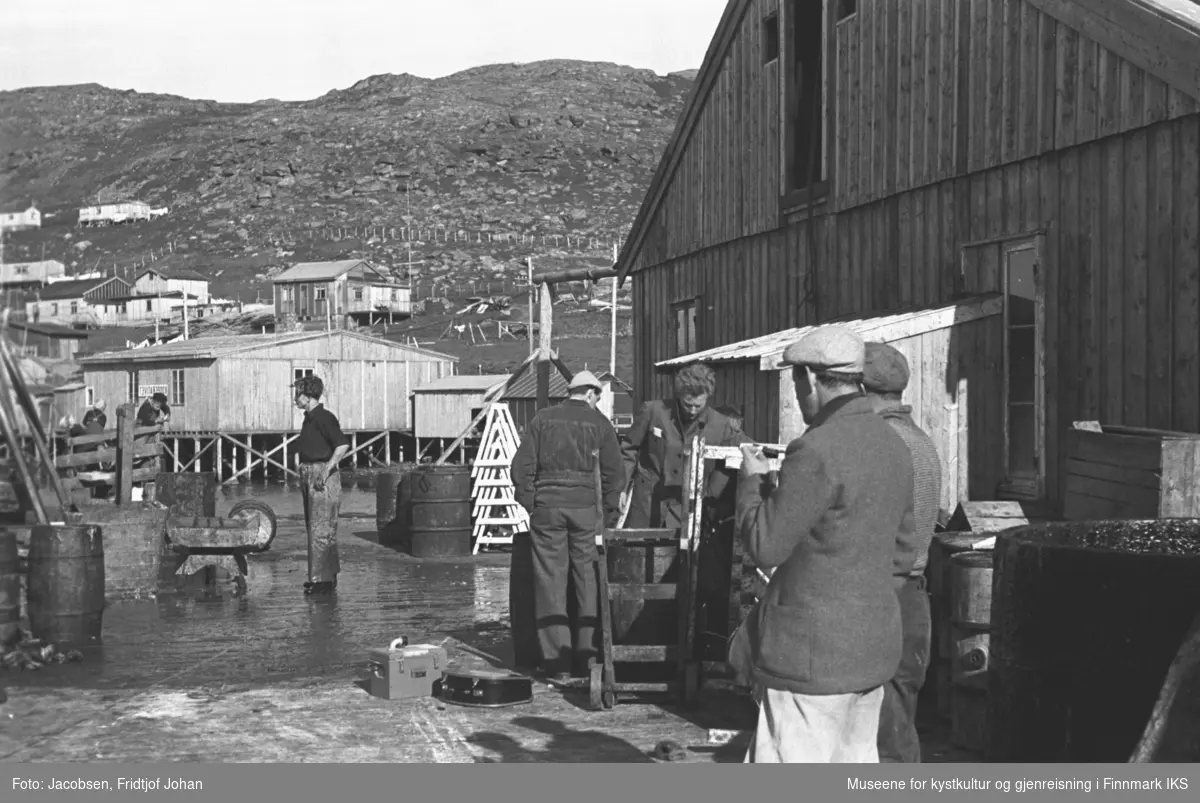 Arbeidere på fiskebruk på nedsiden av Ørabakken i Havøysund i 1947.Brakkebebyggelse.