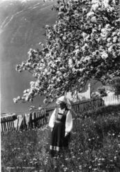 Kvinne i bunad under frukttre i blom, ukjend