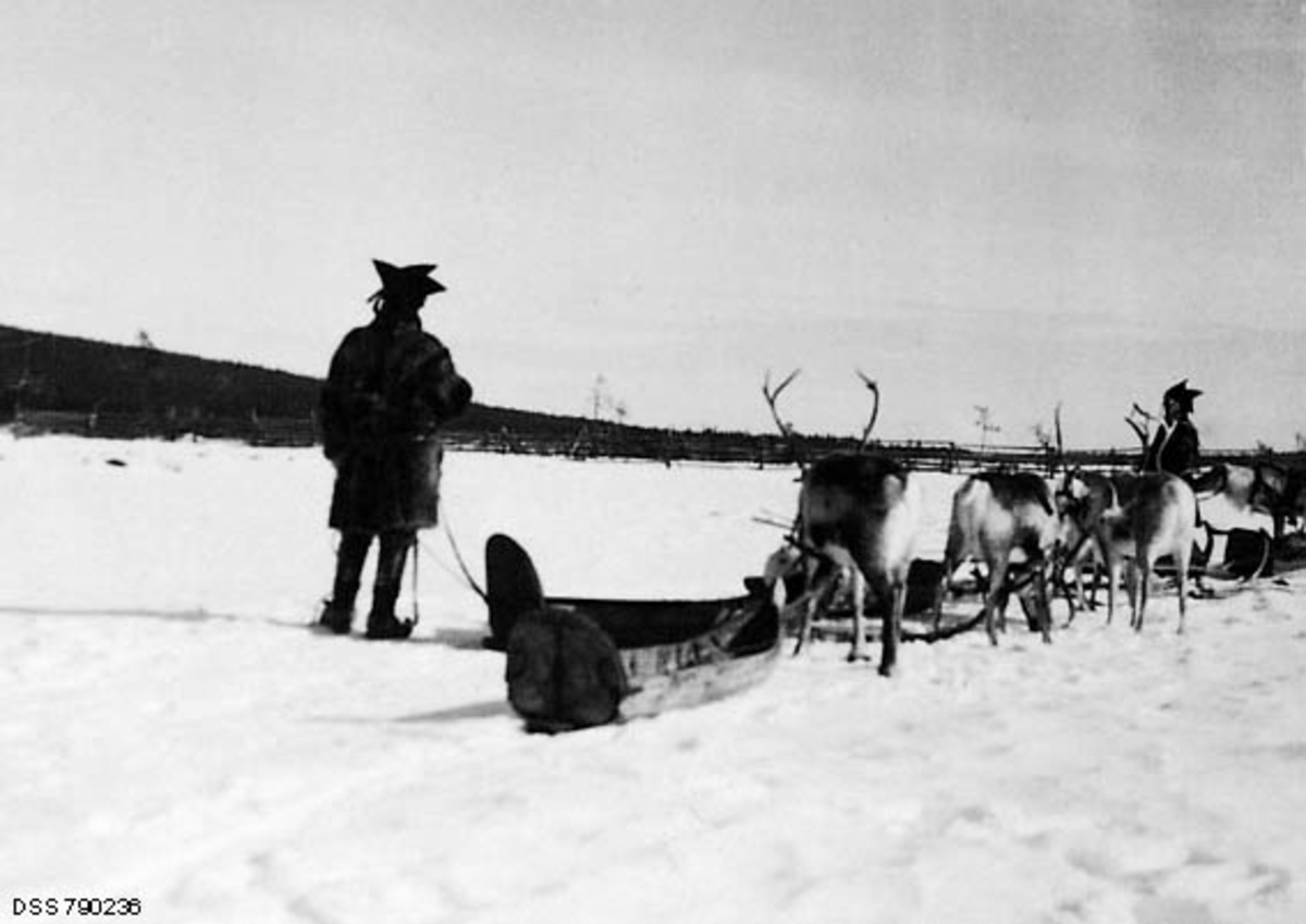 Samisk flytting på vinterføre, fotografert i Nord-Finland av Hans Norderhus, som var skoginspektør i Nordlandske skoginspektorat fra 1933.  Fotografiet er tatt bakfra på et tidspunkt da kjørefølget sto stille.  Vi ser pulker, kjørerein og to samiske menn i drakter med karakteristiske hodeplagg. 