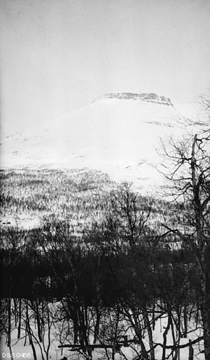 Vinterlandskap i Tamokdalen (Dápmotvuovdi) i Balsfjord i Troms.  Fotografiet er tatt på tvers av dalføret mot fjellet Hattavarre eller Hattavarri (på fotografens kartotekkort kalt «Hatfjellet», Kartverket bruker den samske formen «Háhttagáisi») på motsatt side av dalen.  Det høyeste punktet ligger 1407 meter over havet. I forgrunnen bladløs bjørkeskog på snødekt mark. 