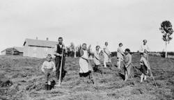Slåttonn, breiing av høy i Ålen