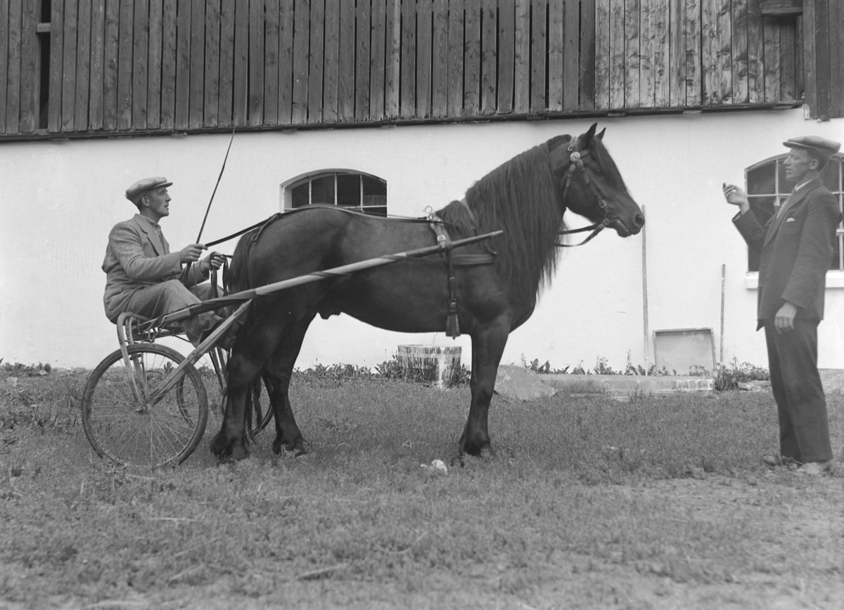 P.O. Husby med hest og sulky på Leangen
