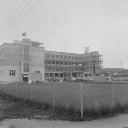 Mønsås ved Nidar Chokoladefabriks nye fabrikk i Bromstadvege