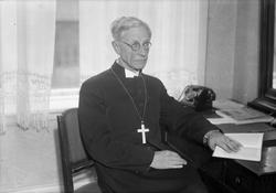 Biskop Aulen