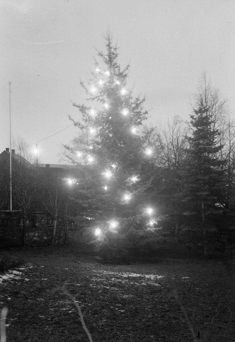 Utendørs juletre med elektrisk lys i Lerkendalsveien