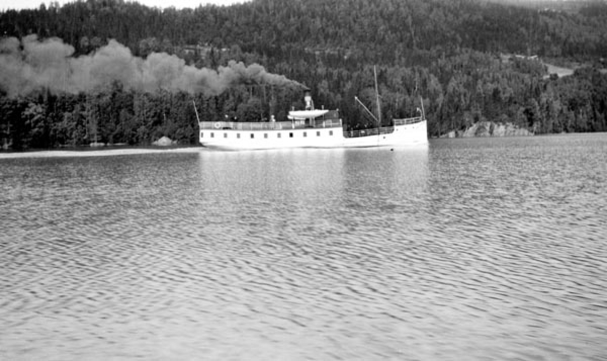 D/S Lillehammer fotografert på Mjøsa, antakelig mot ei av de skogkledde liene sør for Lillehammer by, mot Brøttum. Vi ser båten fra styrbord side i en periode da den hadde da den hadde overbygg og gikk i passasjertrafikk.  

D/S Lillehammer ble bygd på Eidsvoll i 1908, men forlenget og ombygd på Hamar allerede året etter.  Båten var 87, 7 fot lang og 14 fot bred og hadde opprinnelig en compoundmotor.  Eierne var en del kjøpmenn på Lillehammer.  Båten gikk i passasjer- og godstrafikk mellom Lillehammer og Gjøvik.  Sesongen var forholdsvis kort, for det var nordenden av Mjøsa som tidligst ble islagt hver høst og vinter.  I 1930 mistet D/S Lillehammer passasjersertifikatet.  Etter dette ble den liggende ved kai, og driftsselskapet gikk etter hvert konkurs.  I 1937 fikk fartøyet nye eiere, som bygde om båten til ren fraktebåt, utstyrte den med dieselmotor og gav den det nye navnet M/S Vega.  Fraktegodset var dels poteter til ymse brennerier i Mjøsregionen, dels teglstein fra en produsent på Eidsvoll til byggeplasser oppover langs Mjøsa.  Båten var i drift fram til 1960-tallet, men deretter forfalt den.  I 1975 ble den senket på stort djup.
