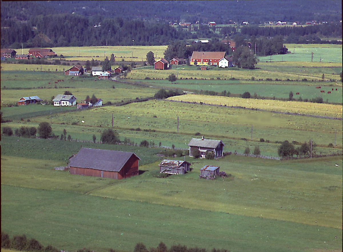 Kjernshagen (Gnr 53/39) på Langengene i Heradsbygda. Bygningene ble fjernet en gang etter 1970. Tuvløkken (Gnr 53/96) sees bak til venstre.