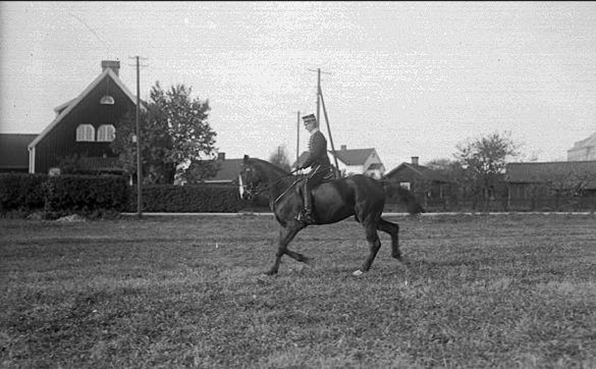 Ryttmästare Rolf Örn på en av sina många förnämliga tävlingshästar. Denna är Kornett (1918-1938) som deltog i olympiaderna i Amsterdam 1928, Los Angeles 1932 och Berlin 1936.
