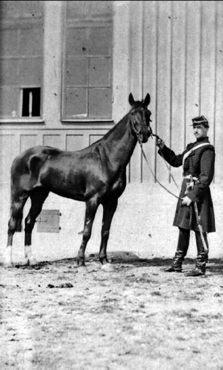 Underlöjtnant Carl Herman Wilhelm Leuhusen med häst