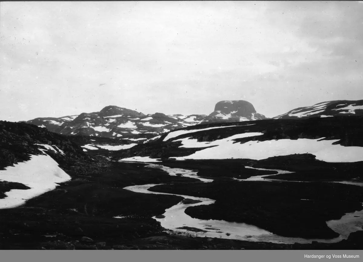 Landskapsbilete, Hardangervidda