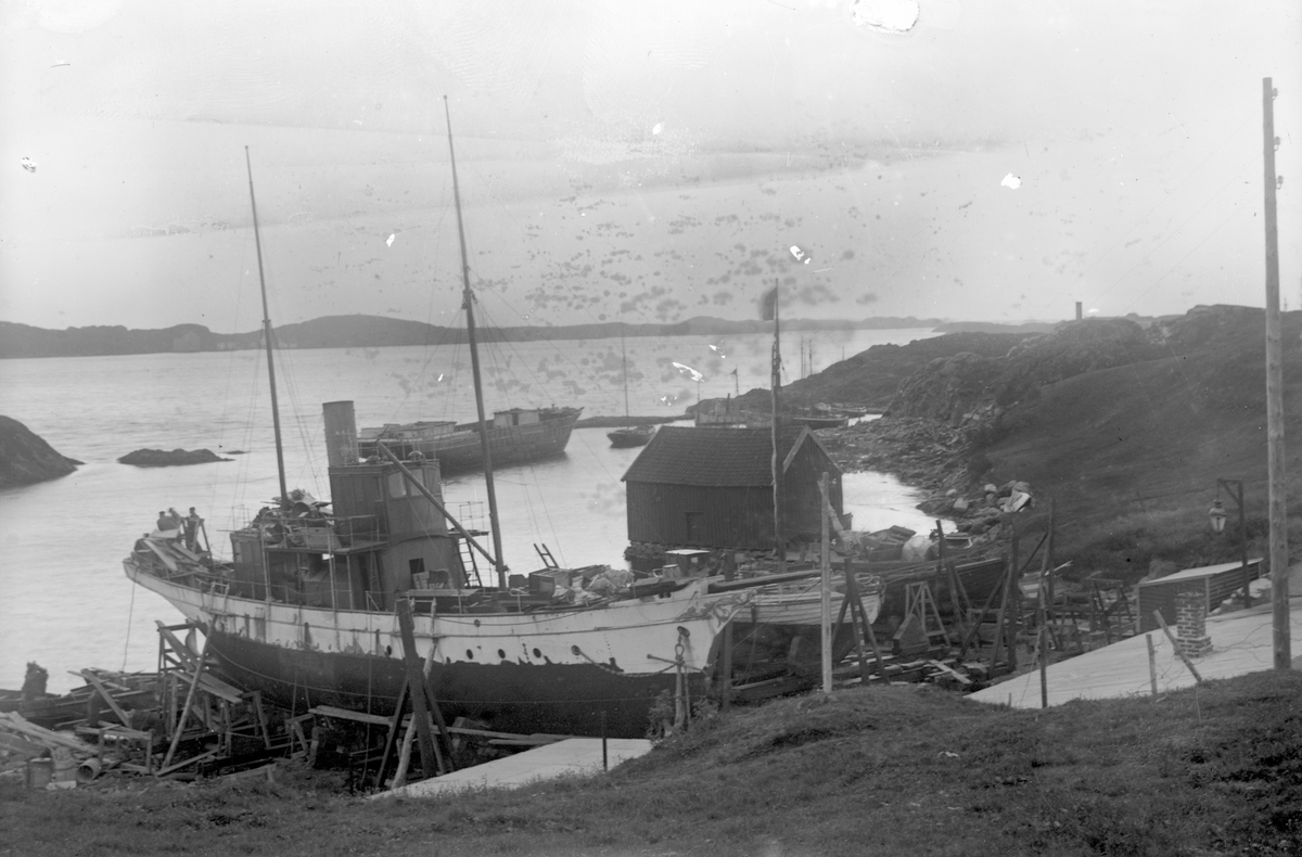 Dampskipet D/S "Virgo" i dokk. Sjøhus og mindre båter i bakgrunnen.