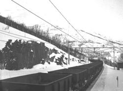 Ofotbanen : Straumsnes stasjon