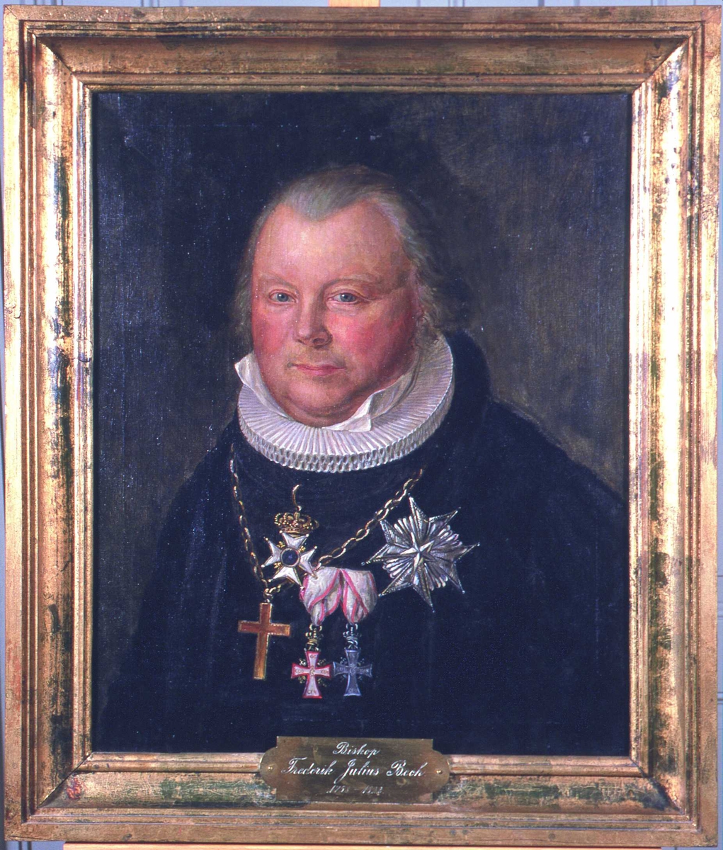 Portrett av biskop Frederik Julius Bech. Grått hår. Kledd i prestekappe og -krave. Kors og ordener. 