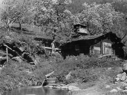 Bakstestue, Luster 1941