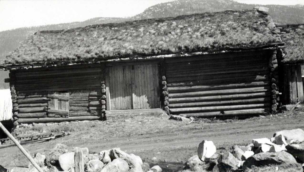 Foto  tatt i forbindelse med nedrivingen av fjøset og løa fra Skomedal, som senere er blitt satt opp på Norsk Folkemuseum i Setesdalstunet.