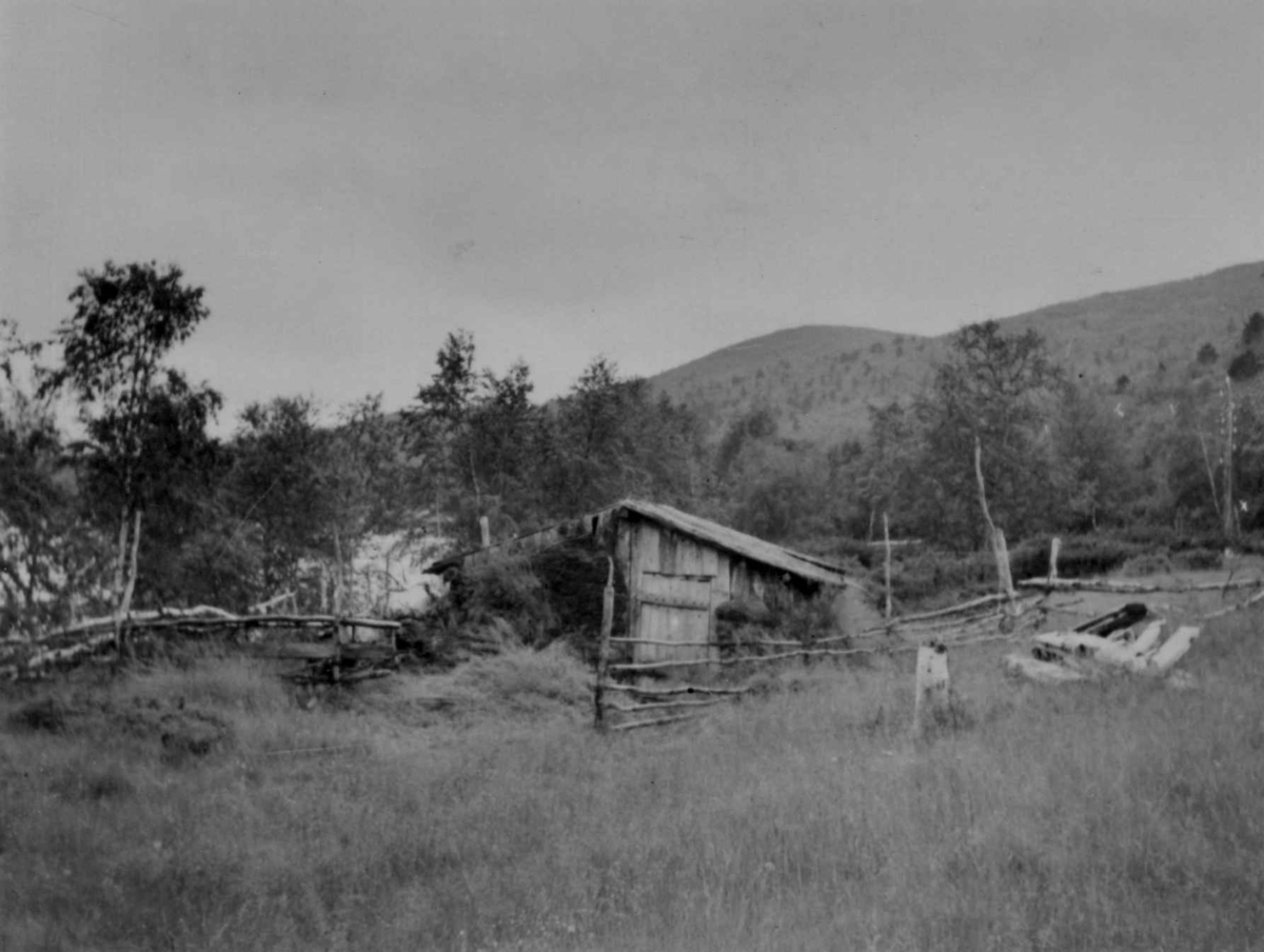 Et fjøs på Fielbmajokka seter, 1952.