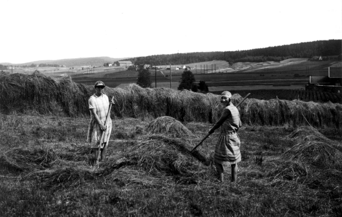 Høying,  Østfold. 1930. To kvinner foran hesje. Jorder. Gårdsanlegg i bakgrunnen. Skog.