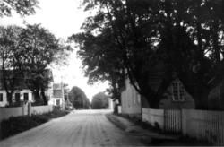 Sarpsborg. 1930. Villavei. Bybebyggelse. Hager med trær. Sta