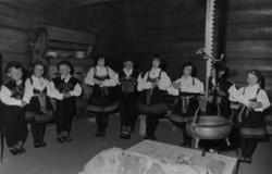 Opptreden av Norsk Folkemuseums barneleikarring.