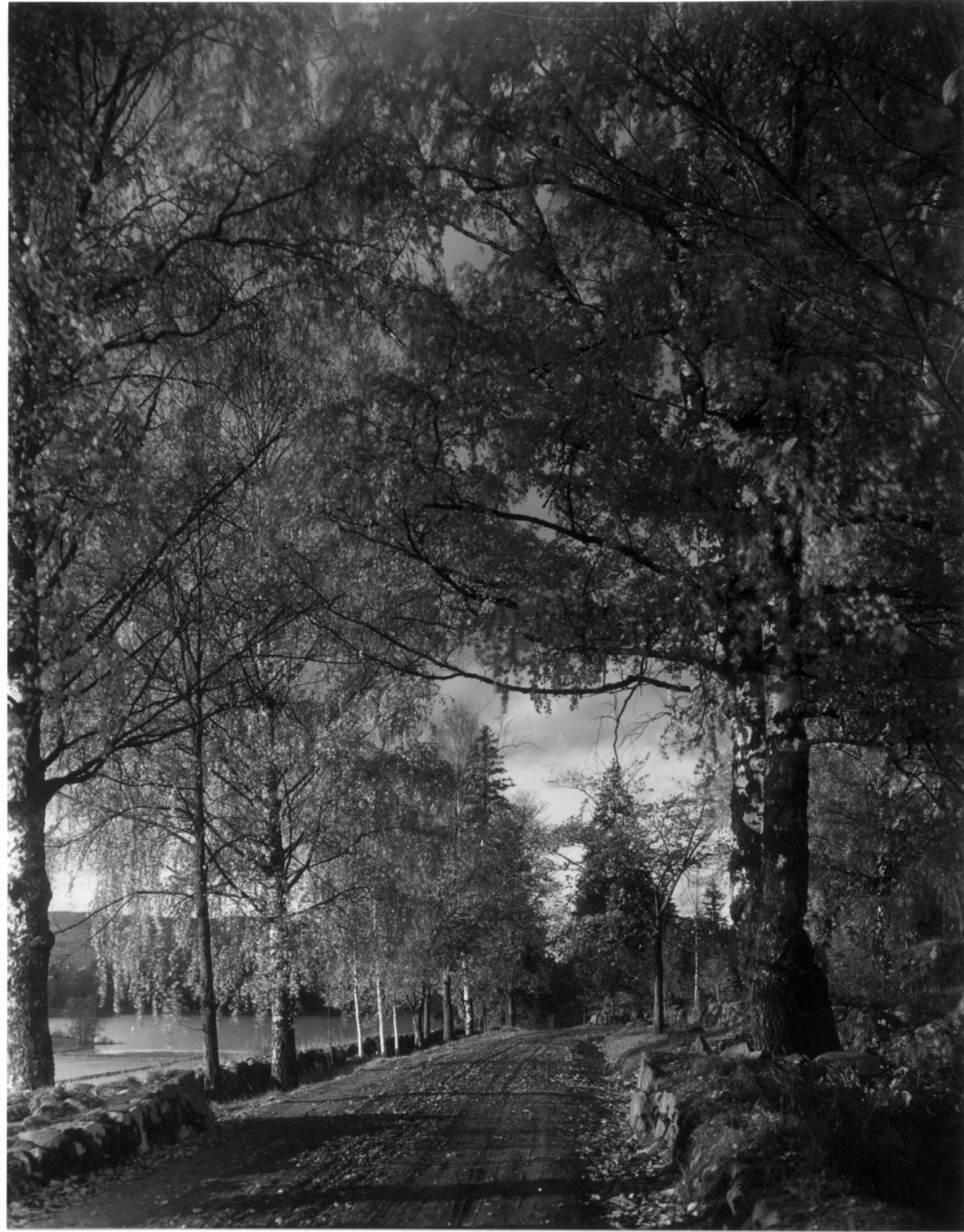 Fra Bogstad ca. 1923. Parken. Vei langs Bogstadvannet.