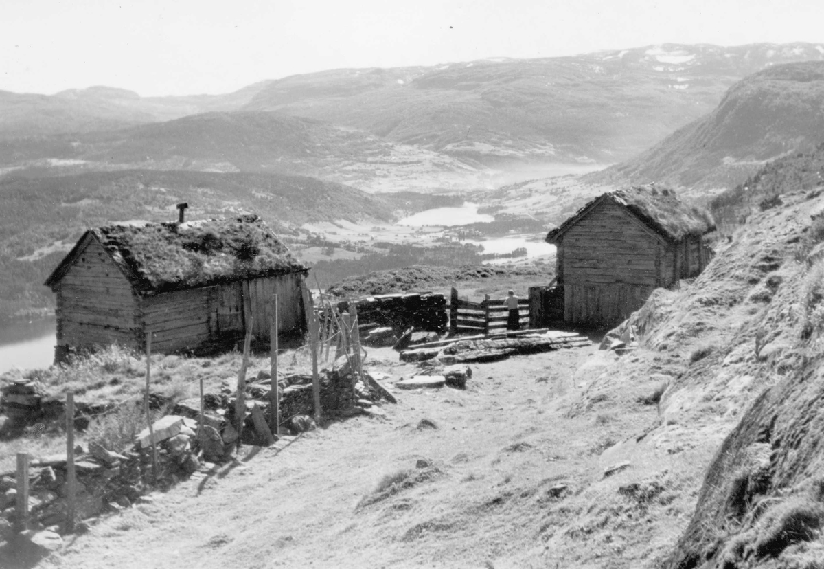 Stølen Løyning Ved Afdal I Voss Norsk Folkemuseum Digitaltmuseum