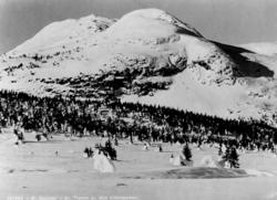 Avfotografert postkort. Utsikt mot Kiliknappene i Østre Gaus