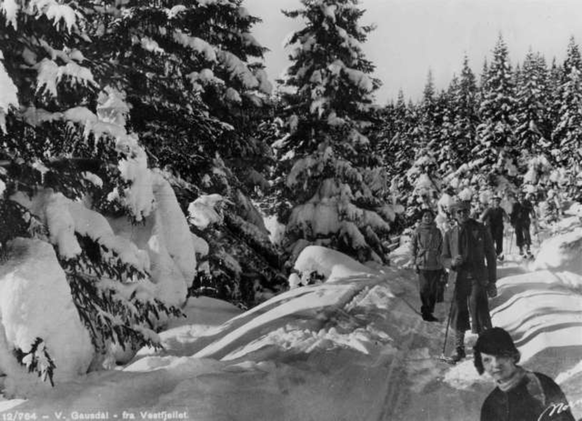 Avfotografert postkort. Mannlige og kvinnelige skiløpere i snødekt granskog ved Vestfjellet på Gausdal.