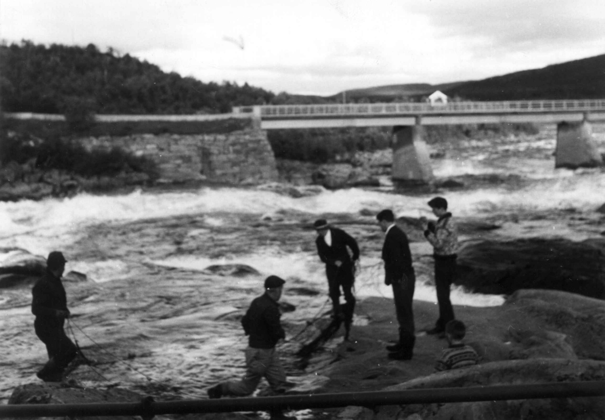 Kastenotfiske fra land i Skoltefossen. I bakgrunnen en bro. Neiden 1968.