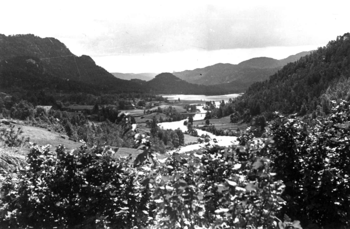 Utsikt med elv og vann fra Anstein Åvitslands hus 1941.