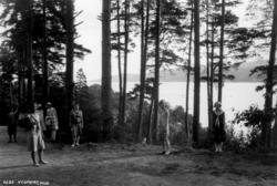 Kvinnedrakt, Oslo. 1929.  Kvinner spaserer i skogen på Bygdø