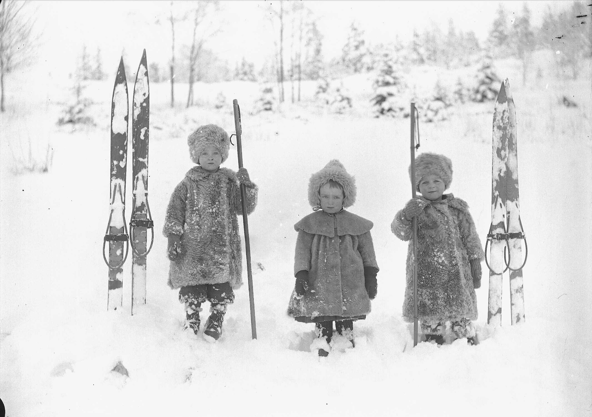 Tre brødre, Halvor Nicolai, Simon og Thor Q.Wiborg poserer i snøen med staver og ski. Digerud, Frogn, Akershus, 1908. 