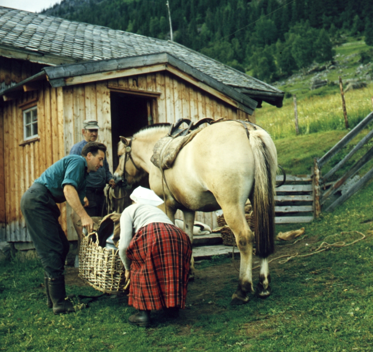 Buføring hos Eilif Hefte i Ål i Hallingdal, 1963. Mann og kvinne lesser kurver opp på en hest på gårdstunet.