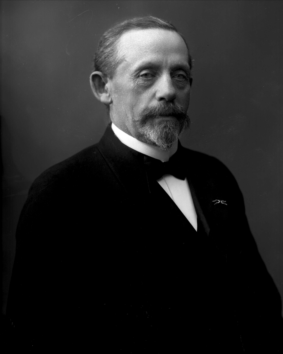 Portrett, hvalfangerdirektør Marcus Christian Bull.