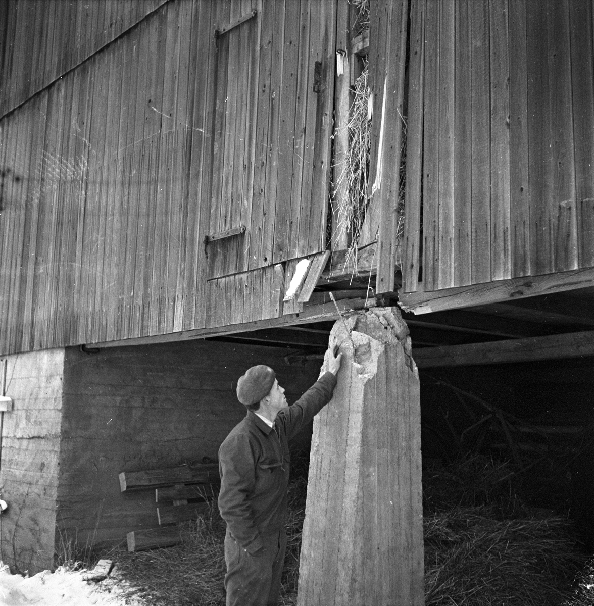 Gårdsbruk Sørum, mann utenfor uthusbygning, 29.11.1956
