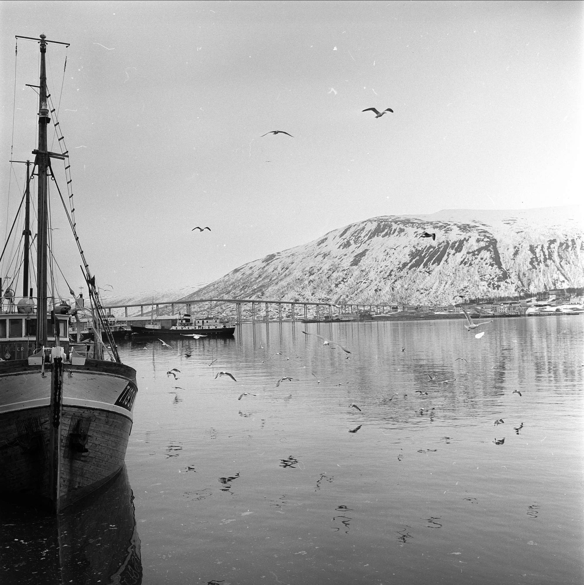 Tromsø, Troms, april 1963. Båter, fjordlandskap og Tromsøbrua.